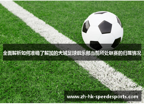 全面解析如何准确了解加的夫城足球俱乐部当前所处联赛的归属情况 全面解析如何准确了解加的夫城足球俱乐部当前所处联赛的归属情况